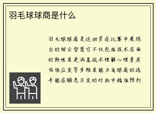 羽毛球球商是什么